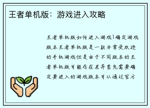 王者单机版：游戏进入攻略